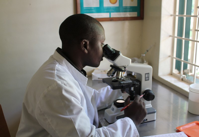 Blut wird auf Malaria untersucht Blood sample is tested for Malaria
